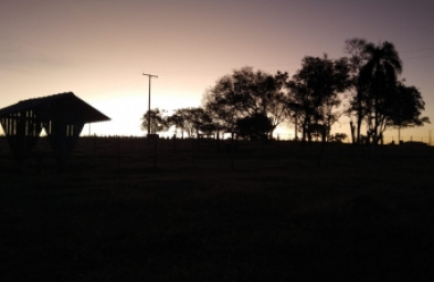 Sítio para venda em Avaré